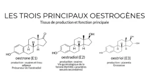 Endométriose+et+phyto-oestrogènes+par+Alix+Le+Calvez+Diététicienne+Psychonutritionniste